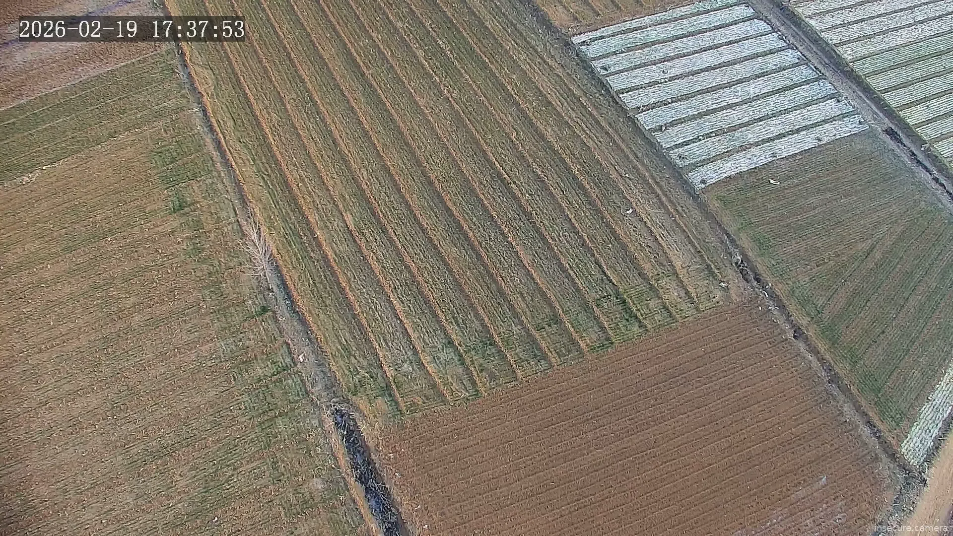 Capture from Feb 19, 2026 at 09:13 AM