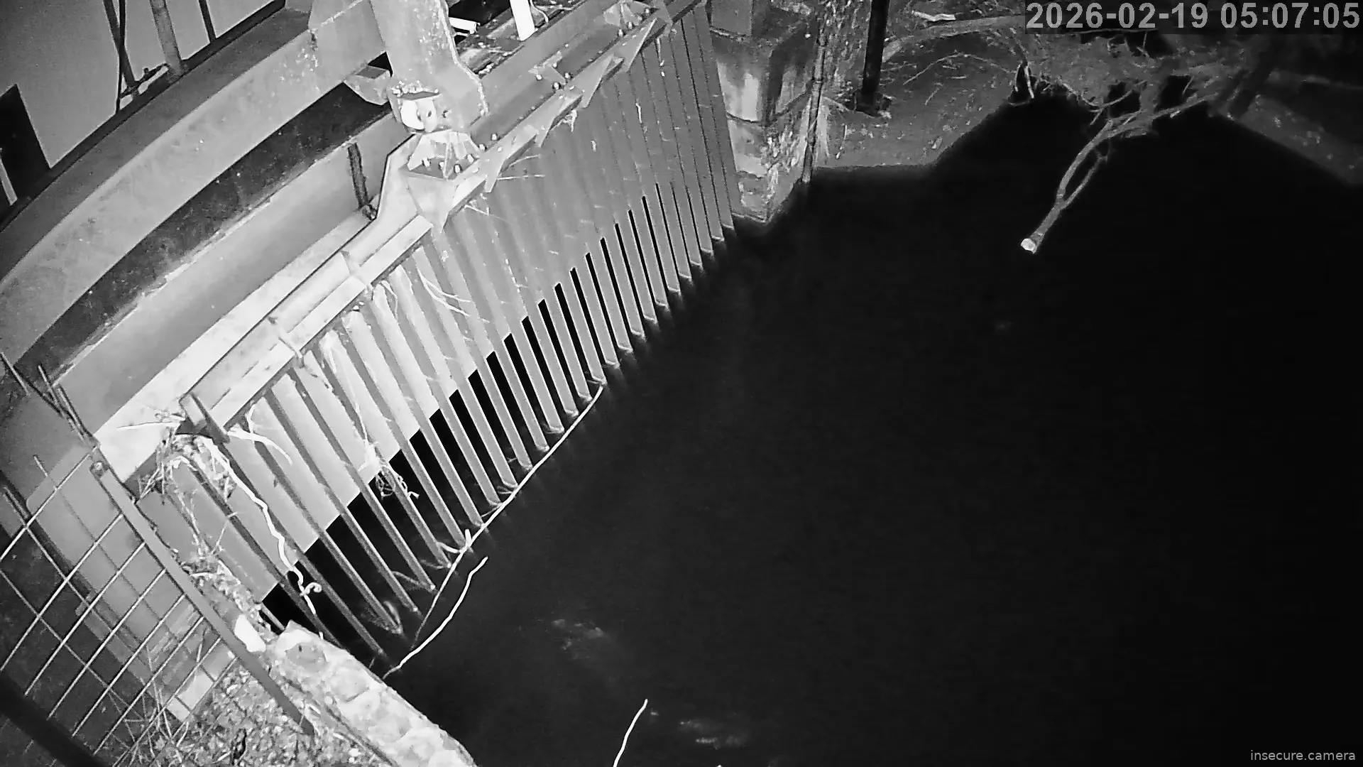 Capture from Feb 19, 2026 at 04:07 AM