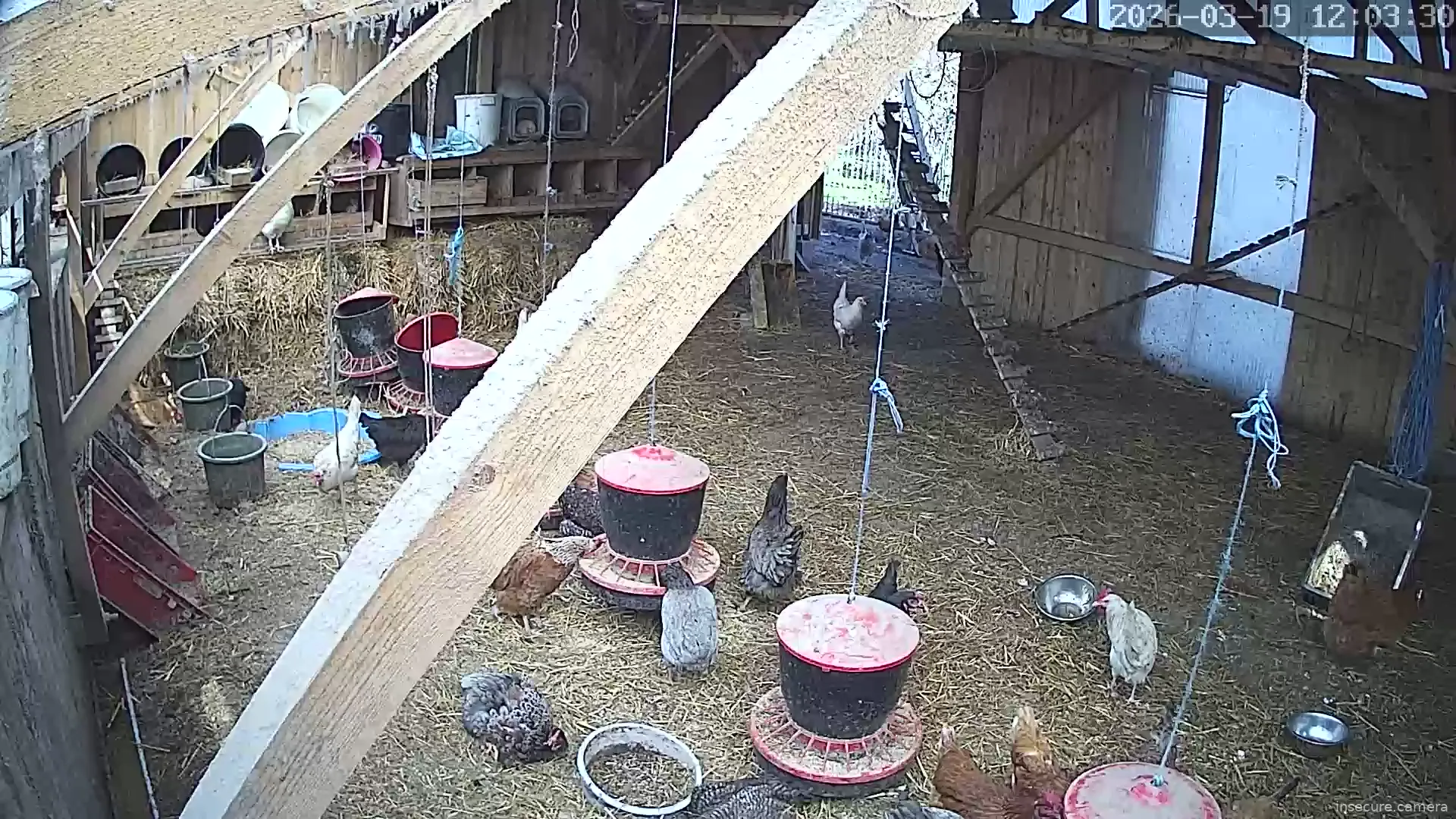 Capture from Mar 19, 2026 at 11:03 AM