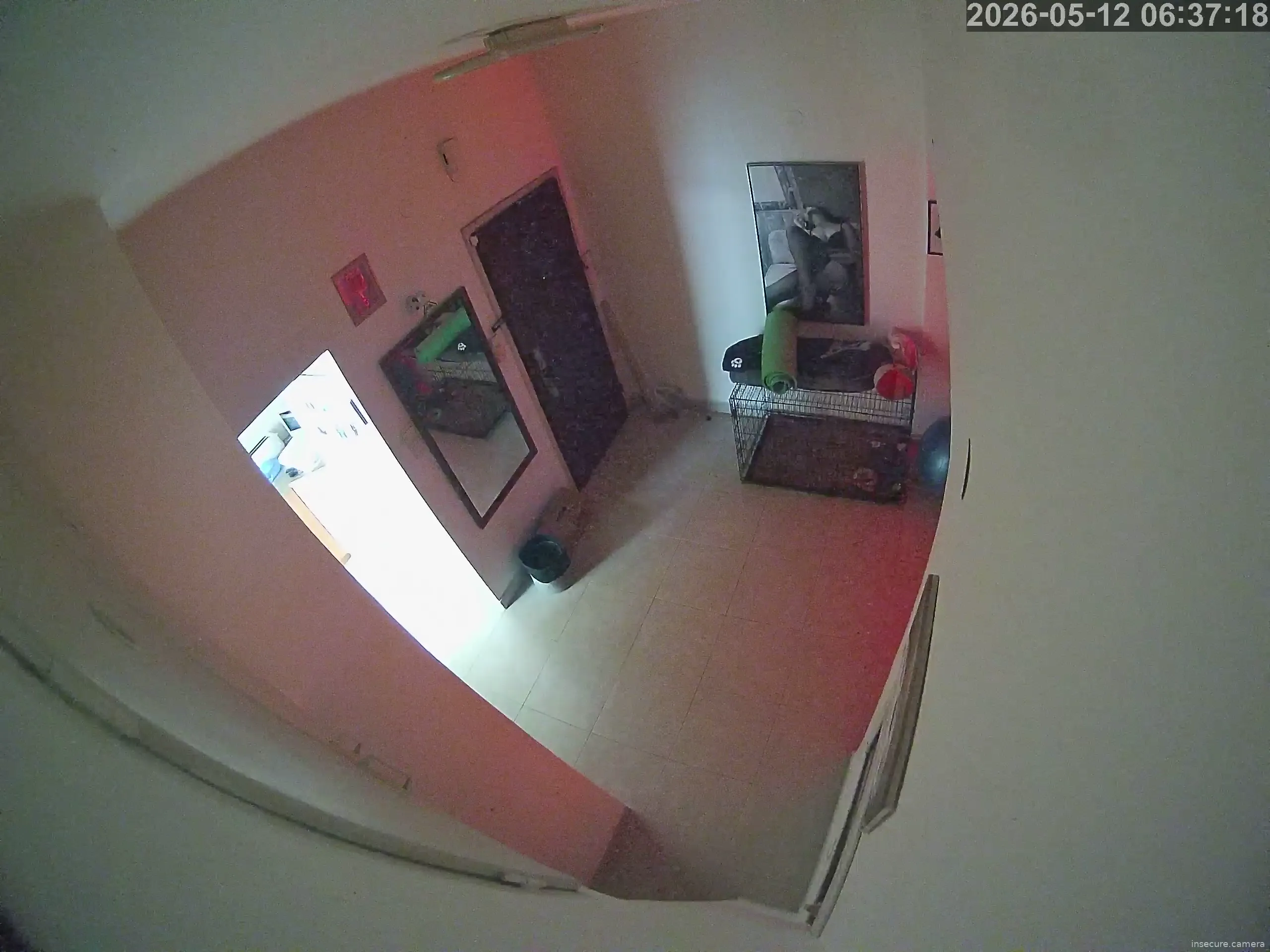Camera in Israel