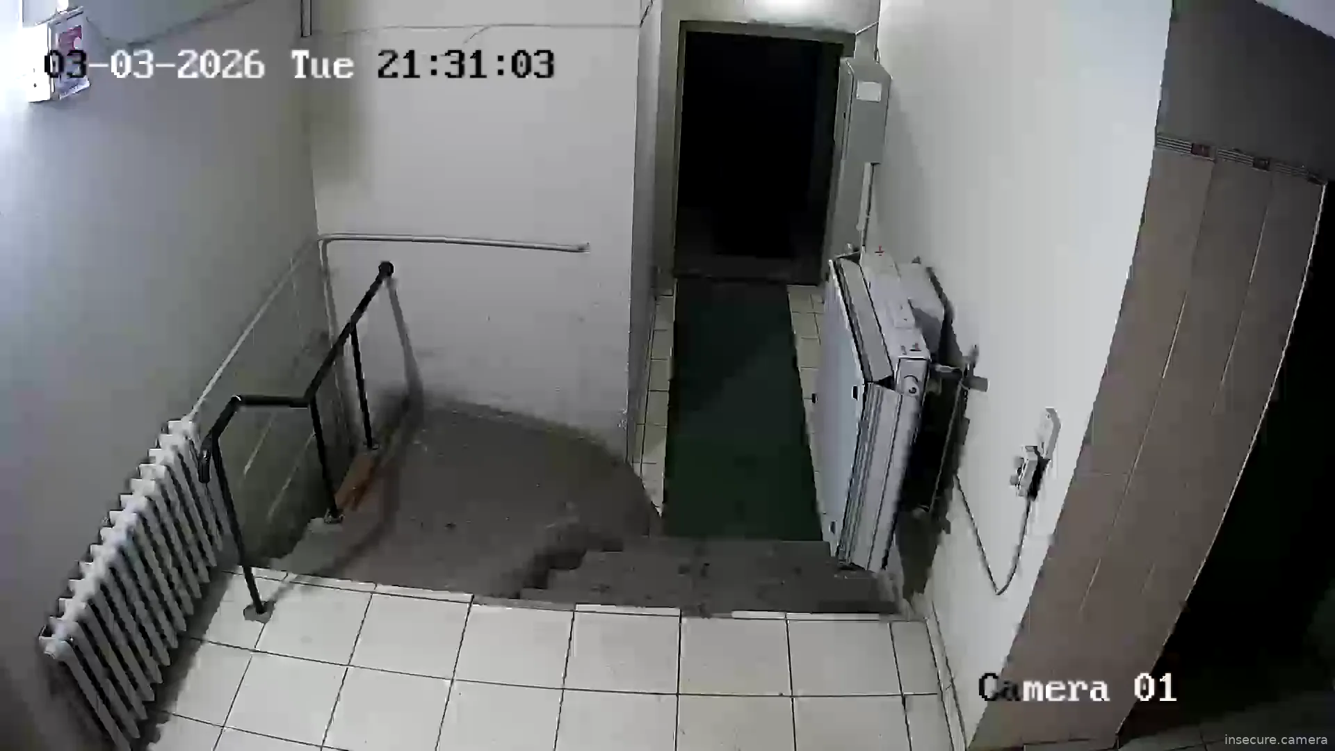 Capture from Mar 03, 2026 at 06:31 PM