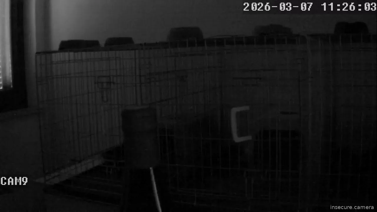 Capture from Mar 07, 2026 at 10:26 AM