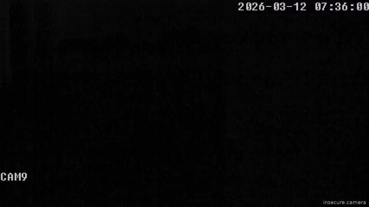Capture from Mar 12, 2026 at 06:36 AM