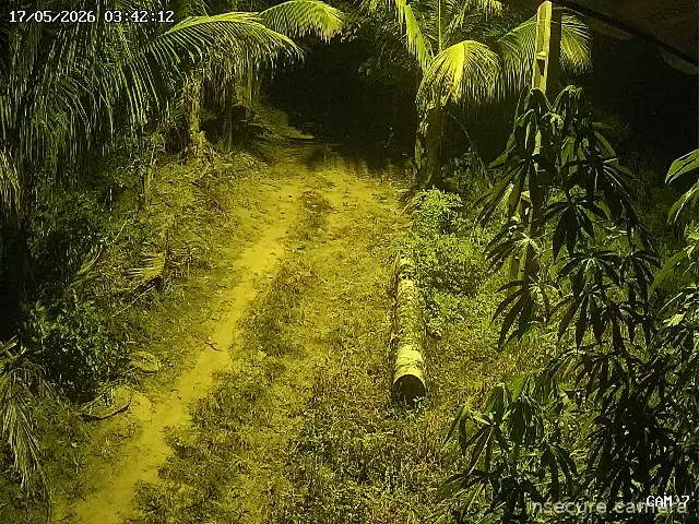 Capture from May 17, 2026 at 06:42 AM