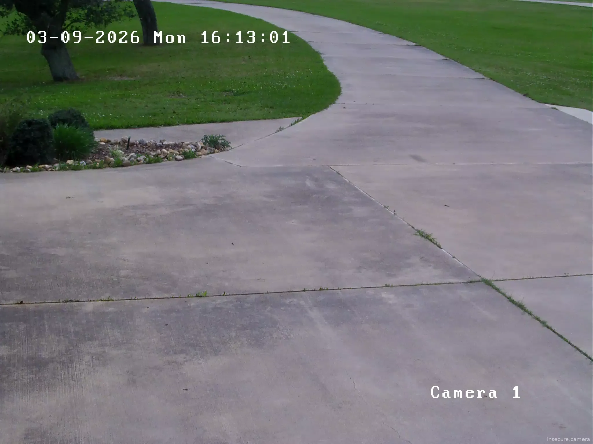 Camera in United States