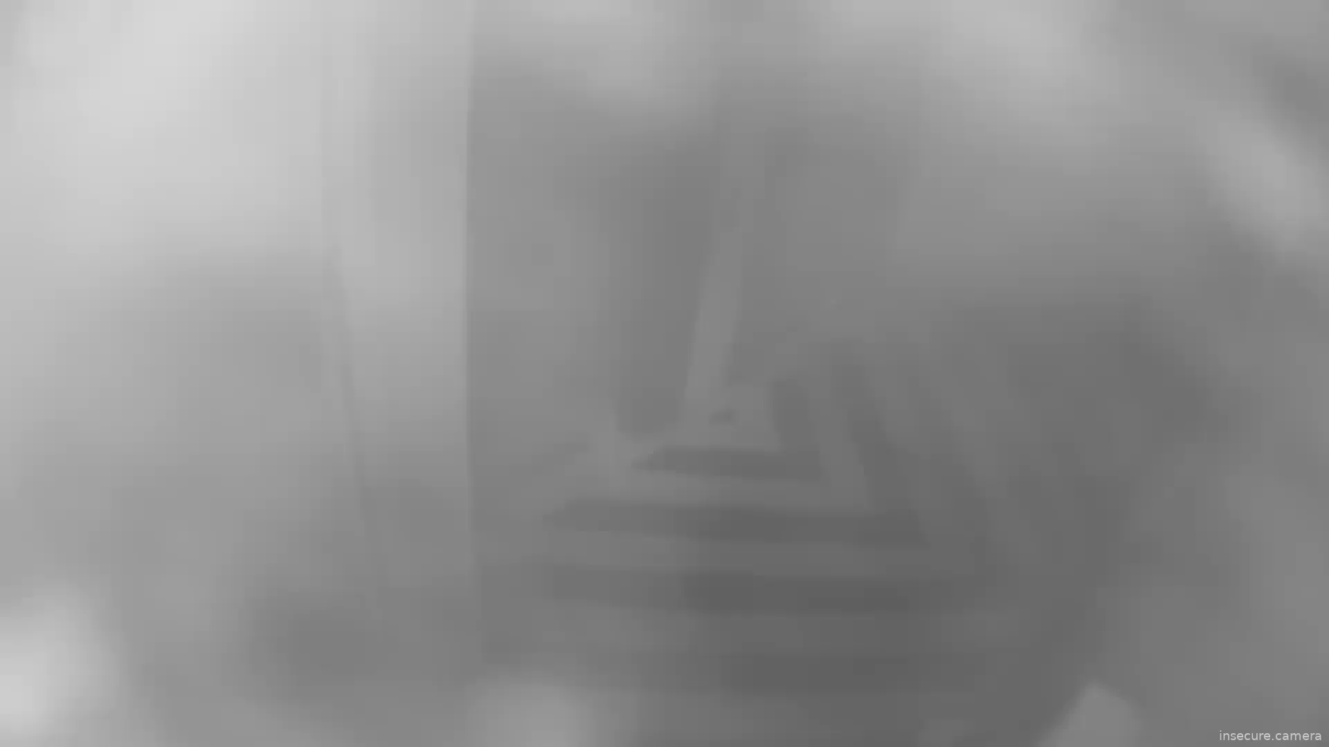 Capture from Feb 19, 2026 at 06:55 PM