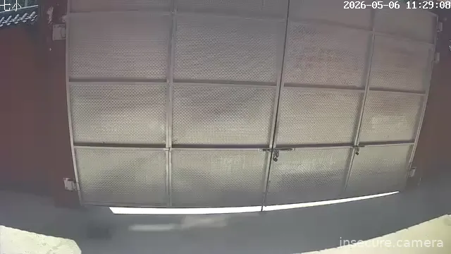 Camera in China