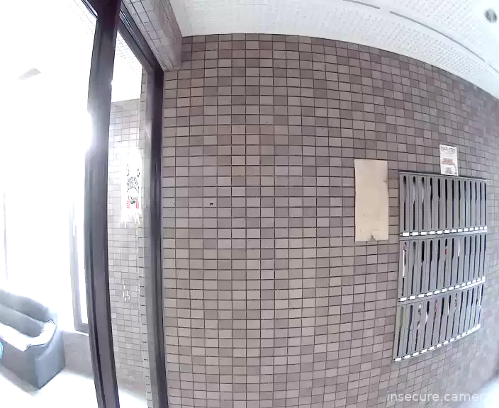 Camera in Japan