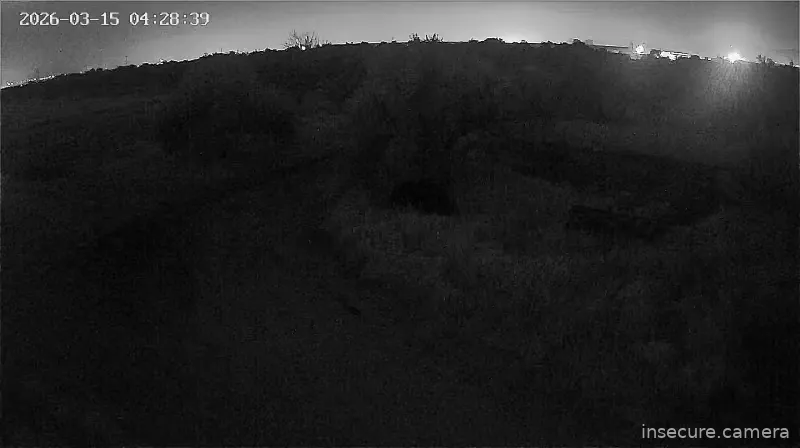 Capture from Mar 15, 2026 at 02:28 AM