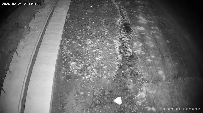 Capture from Feb 25, 2026 at 02:19 PM