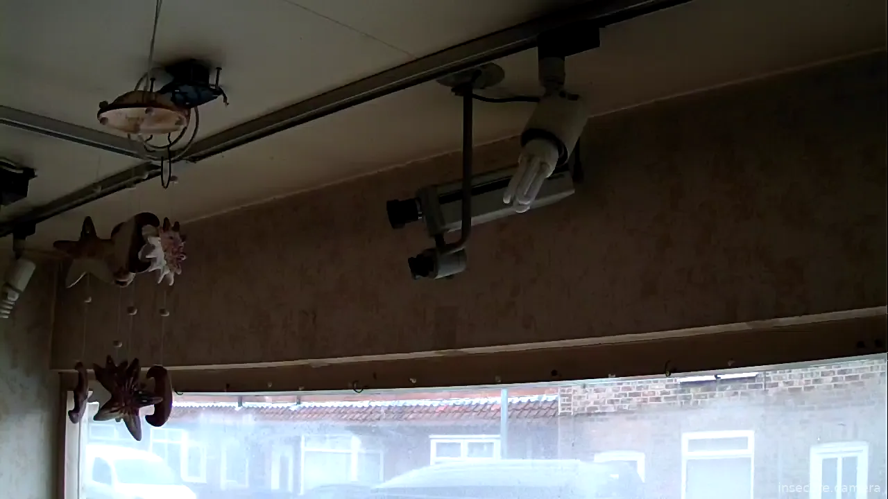 Capture from Mar 01, 2026 at 07:26 AM