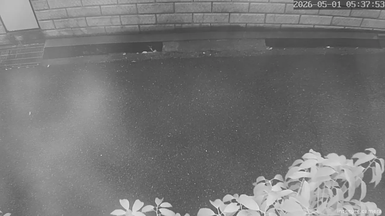 Camera in Japan