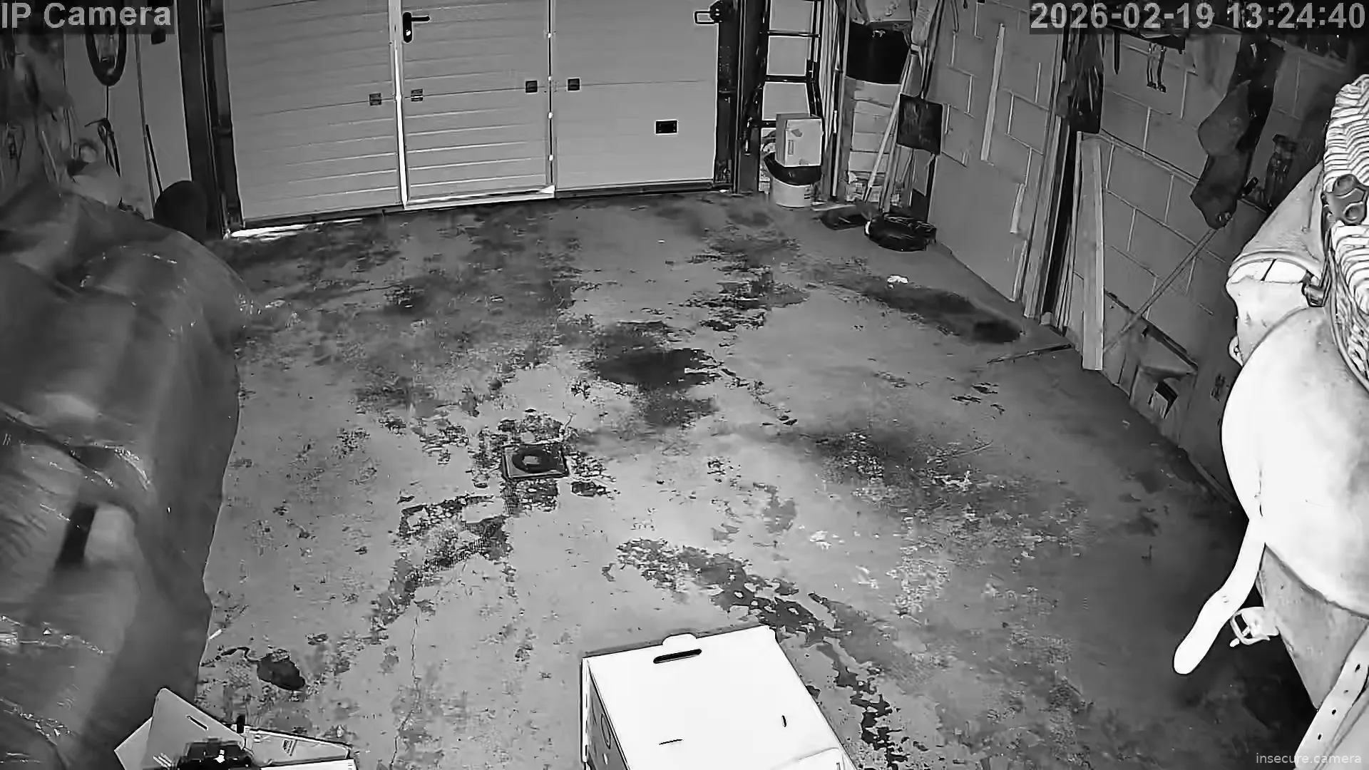 Capture from Feb 19, 2026 at 12:24 PM