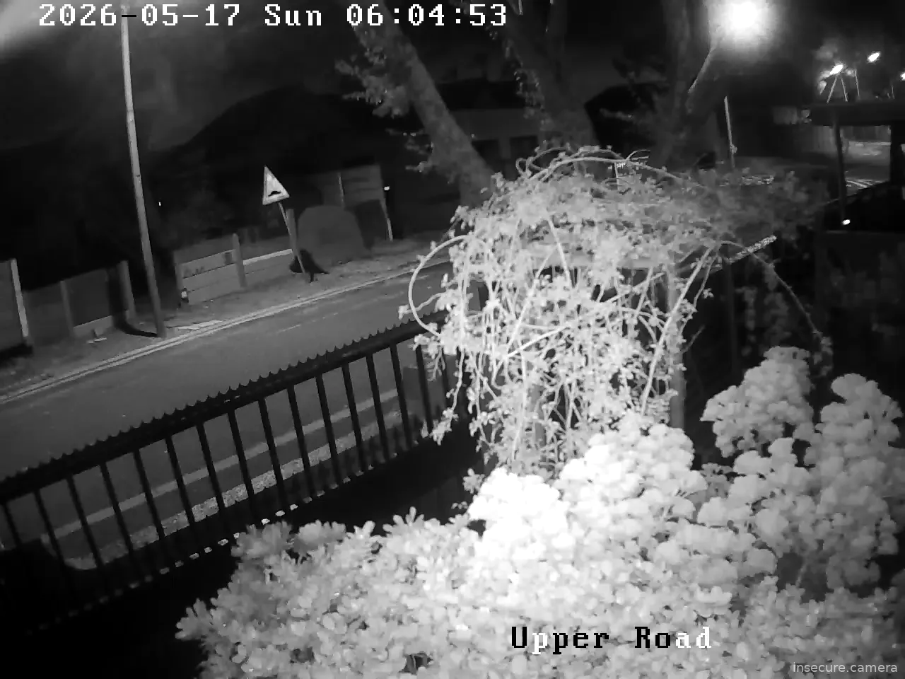 Camera in South Africa