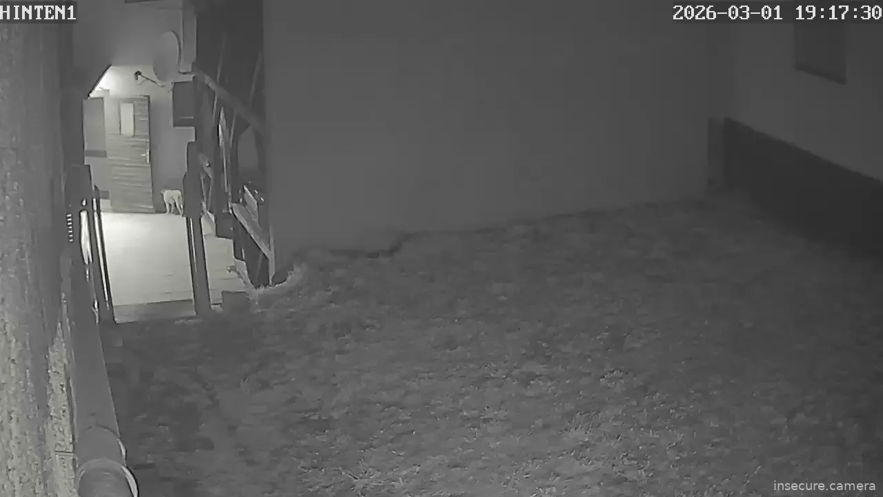 Capture from Mar 01, 2026 at 06:17 PM