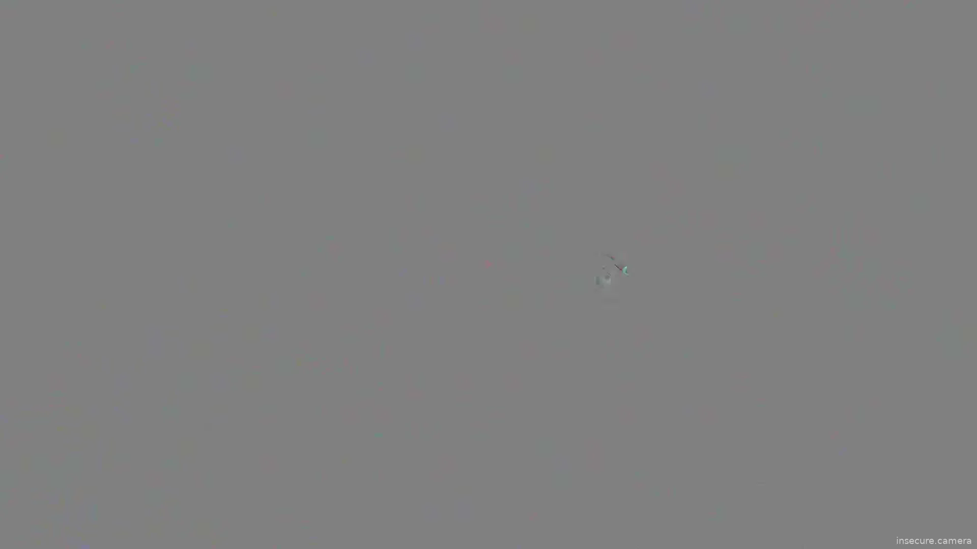 Capture from Apr 29, 2026 at 03:58 AM