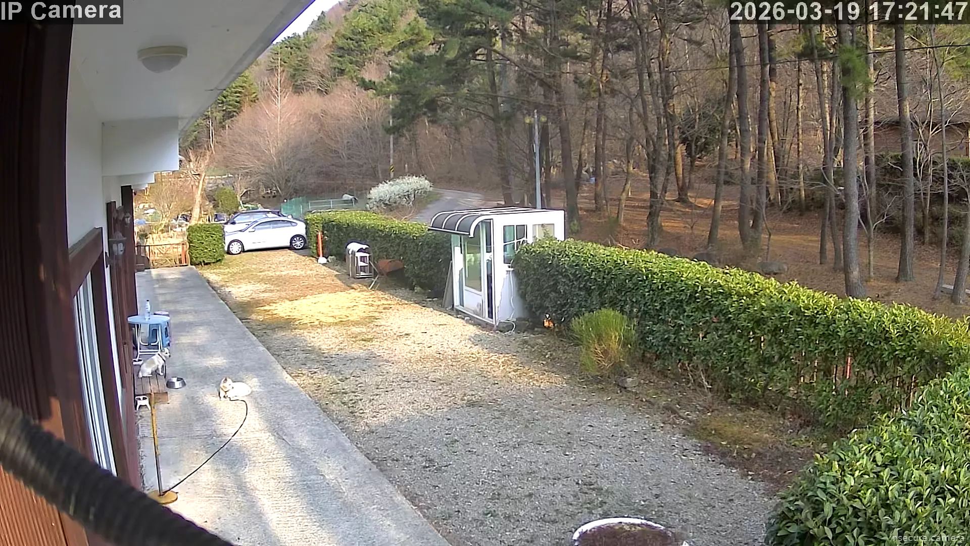 Capture from Mar 19, 2026 at 08:22 AM