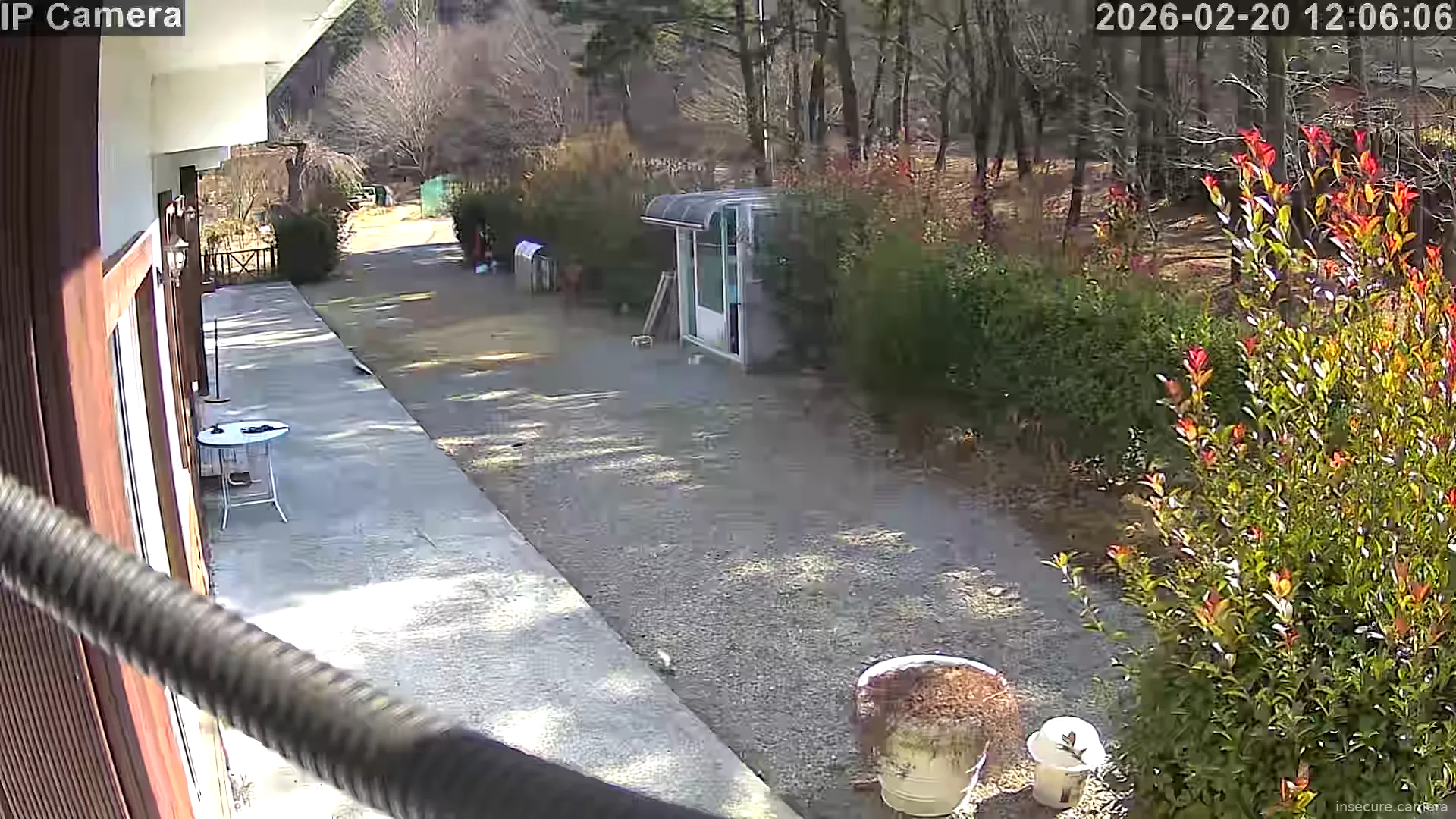 Capture from Feb 20, 2026 at 03:06 AM