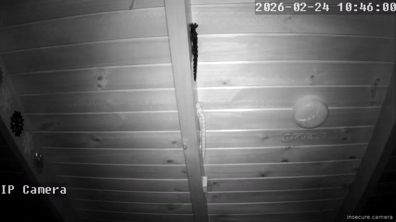 Capture from Feb 24, 2026 at 02:46 AM