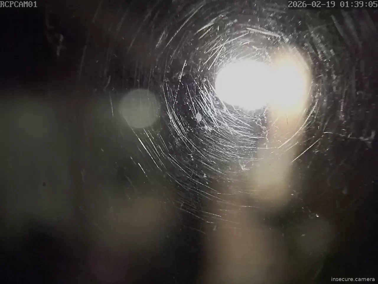 Capture from Feb 19, 2026 at 12:39 AM