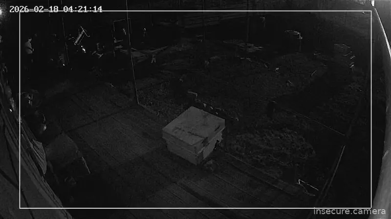 Capture from Feb 19, 2026 at 06:38 PM