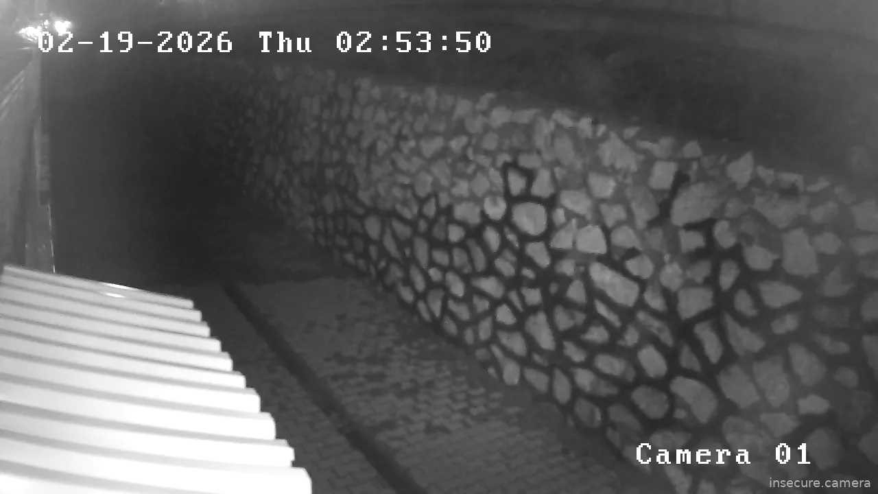 Capture from Feb 19, 2026 at 12:12 AM