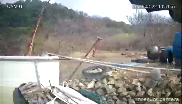 Camera in South Korea