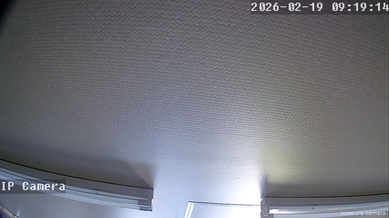 Capture from Feb 19, 2026 at 01:19 AM