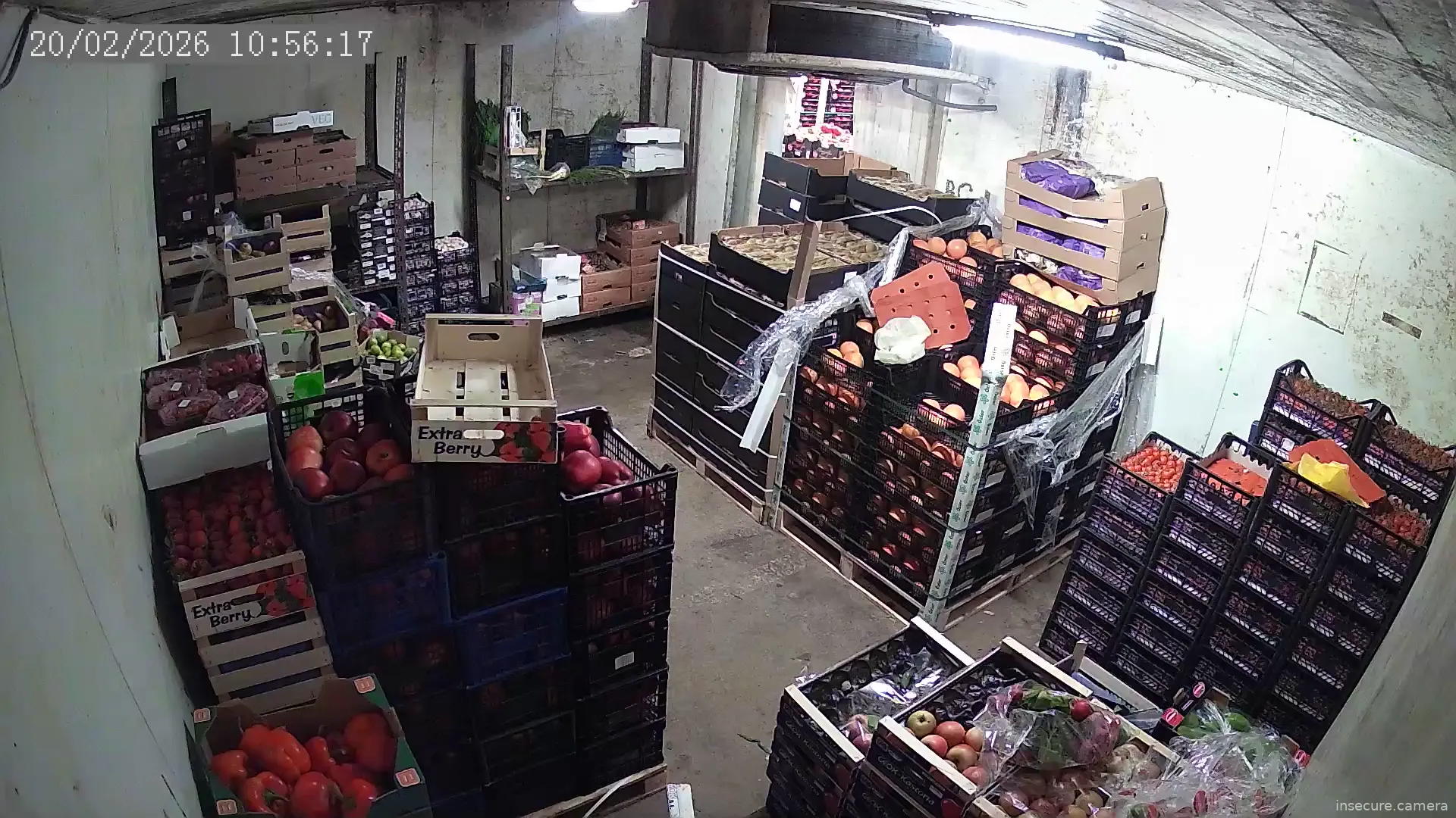 Capture from Feb 20, 2026 at 08:50 AM