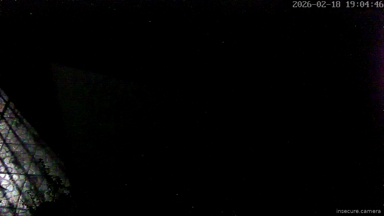 Capture from Feb 19, 2026 at 01:05 AM