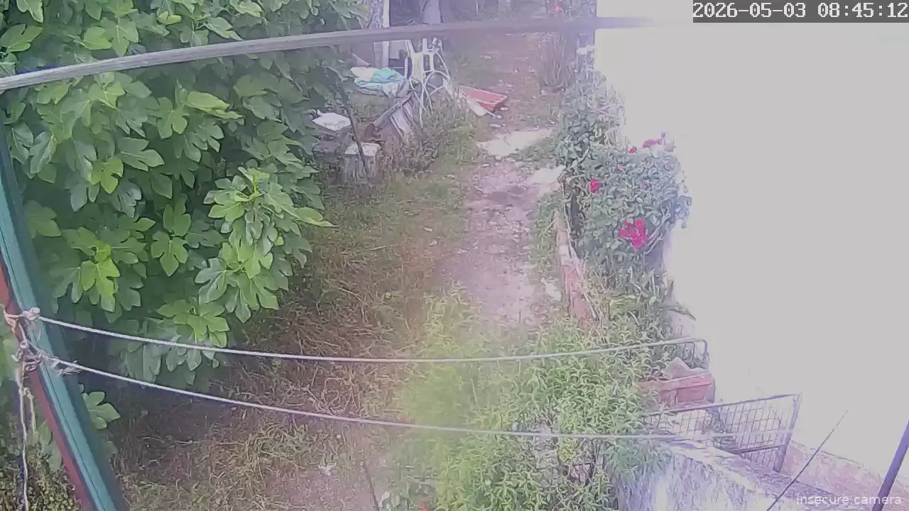 Capture from May 03, 2026 at 08:45 AM