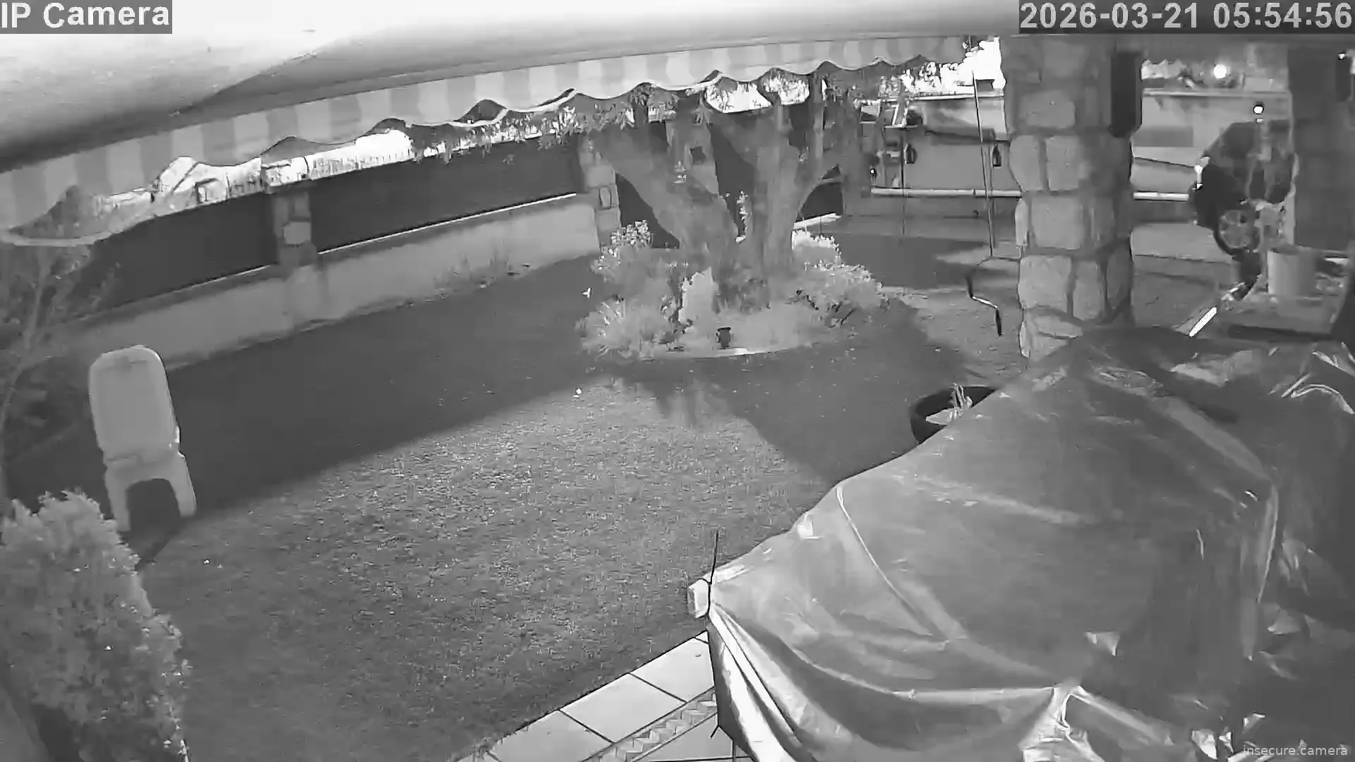 Capture from Mar 21, 2026 at 05:55 AM