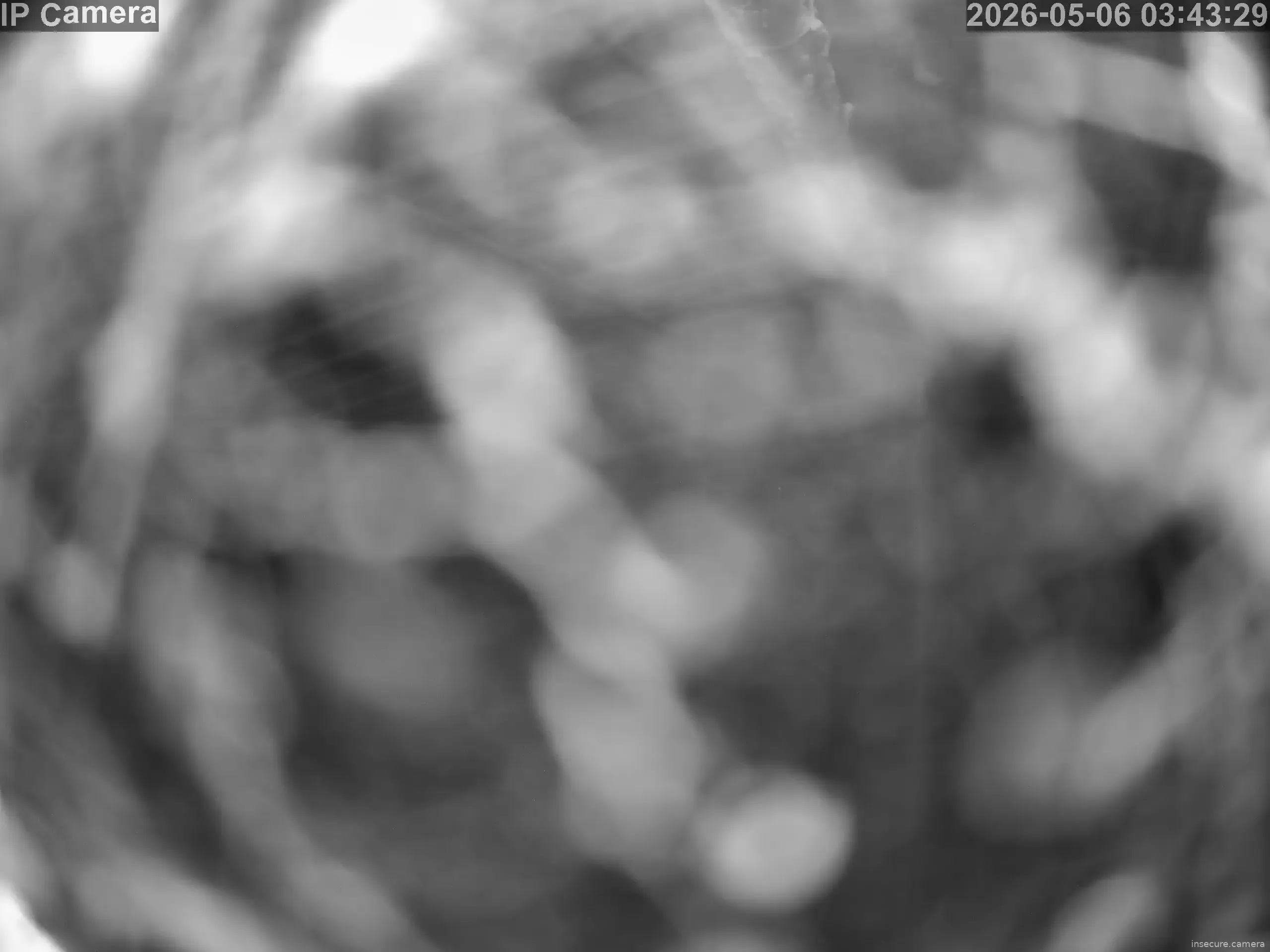 Camera in South Korea