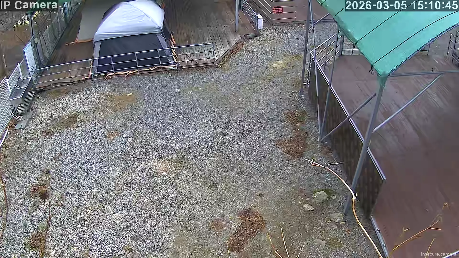 Camera in South Korea