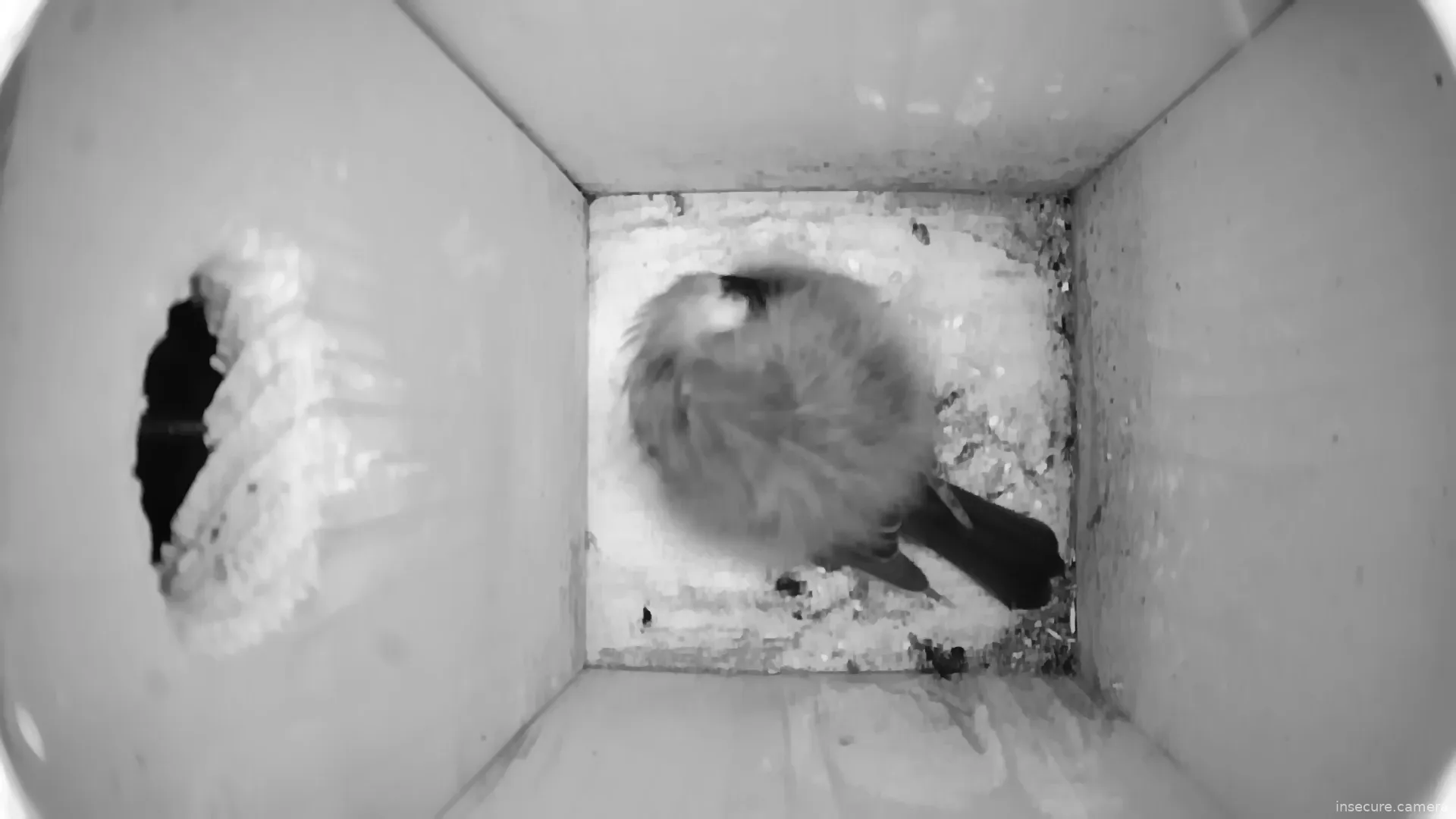 Capture from Feb 27, 2026 at 06:24 PM