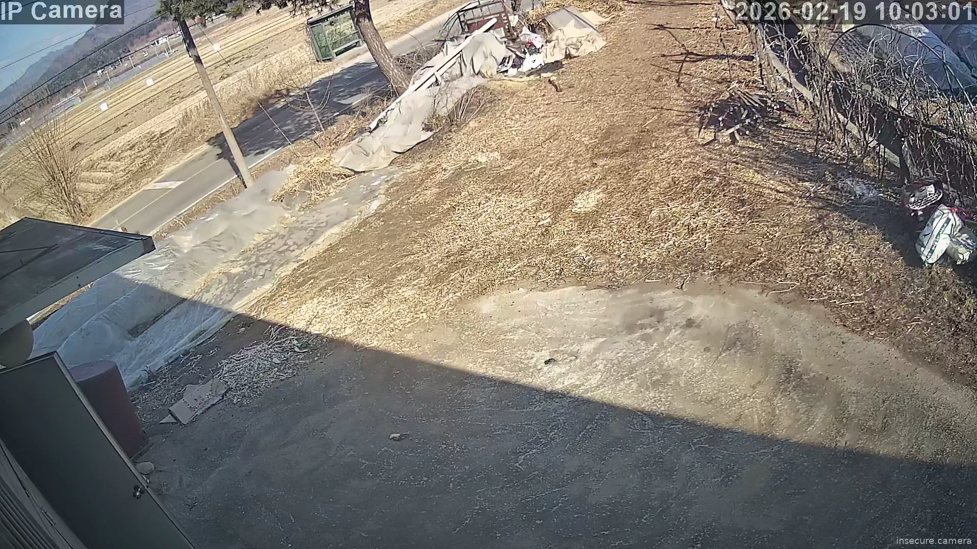 Capture from Feb 19, 2026 at 01:03 AM