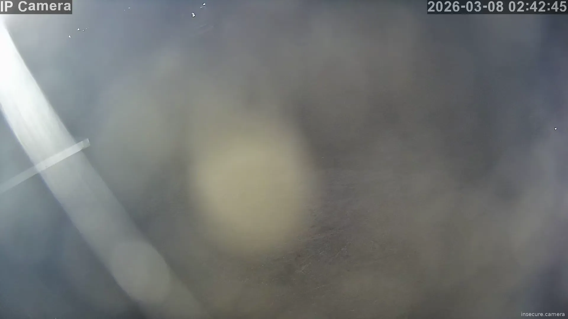 Camera in South Korea