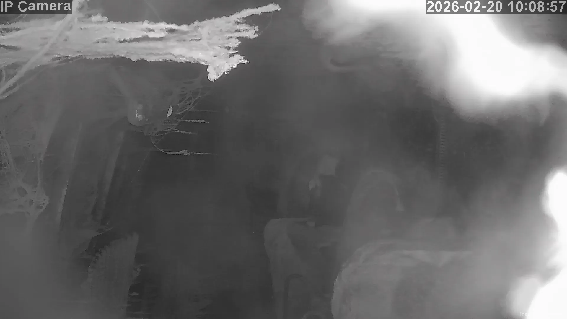 Capture from Feb 20, 2026 at 02:09 AM