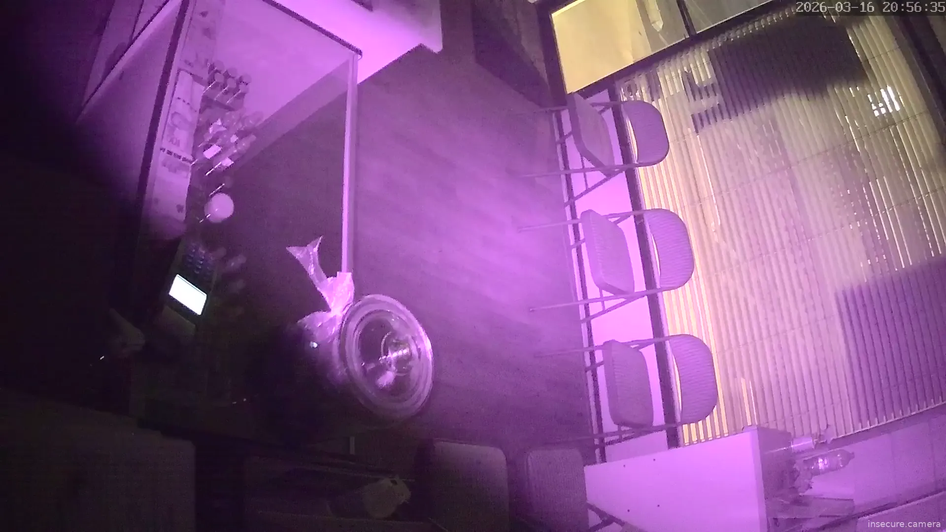 Camera in United States