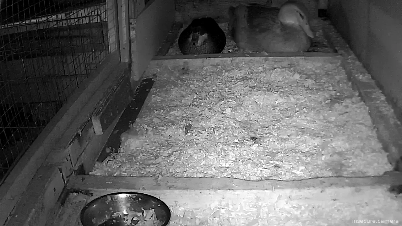 Capture from Mar 02, 2026 at 02:29 AM