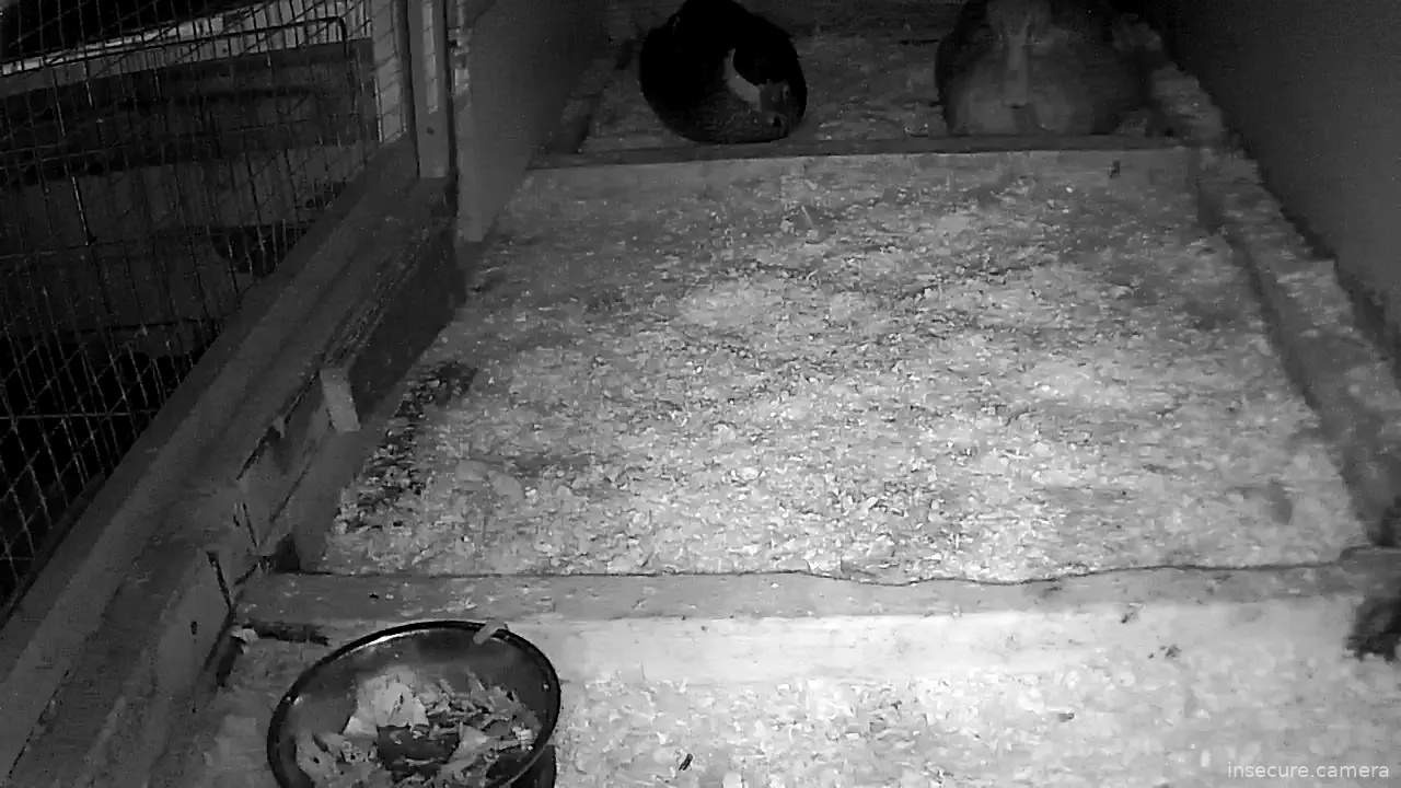 Capture from Feb 19, 2026 at 09:17 PM