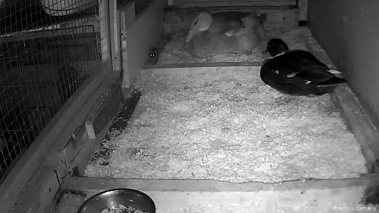 Capture from Feb 19, 2026 at 01:21 AM