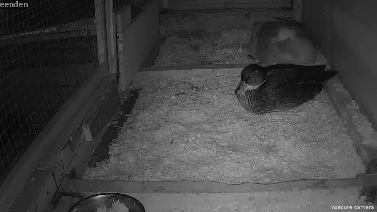 Capture from Mar 17, 2026 at 12:42 AM