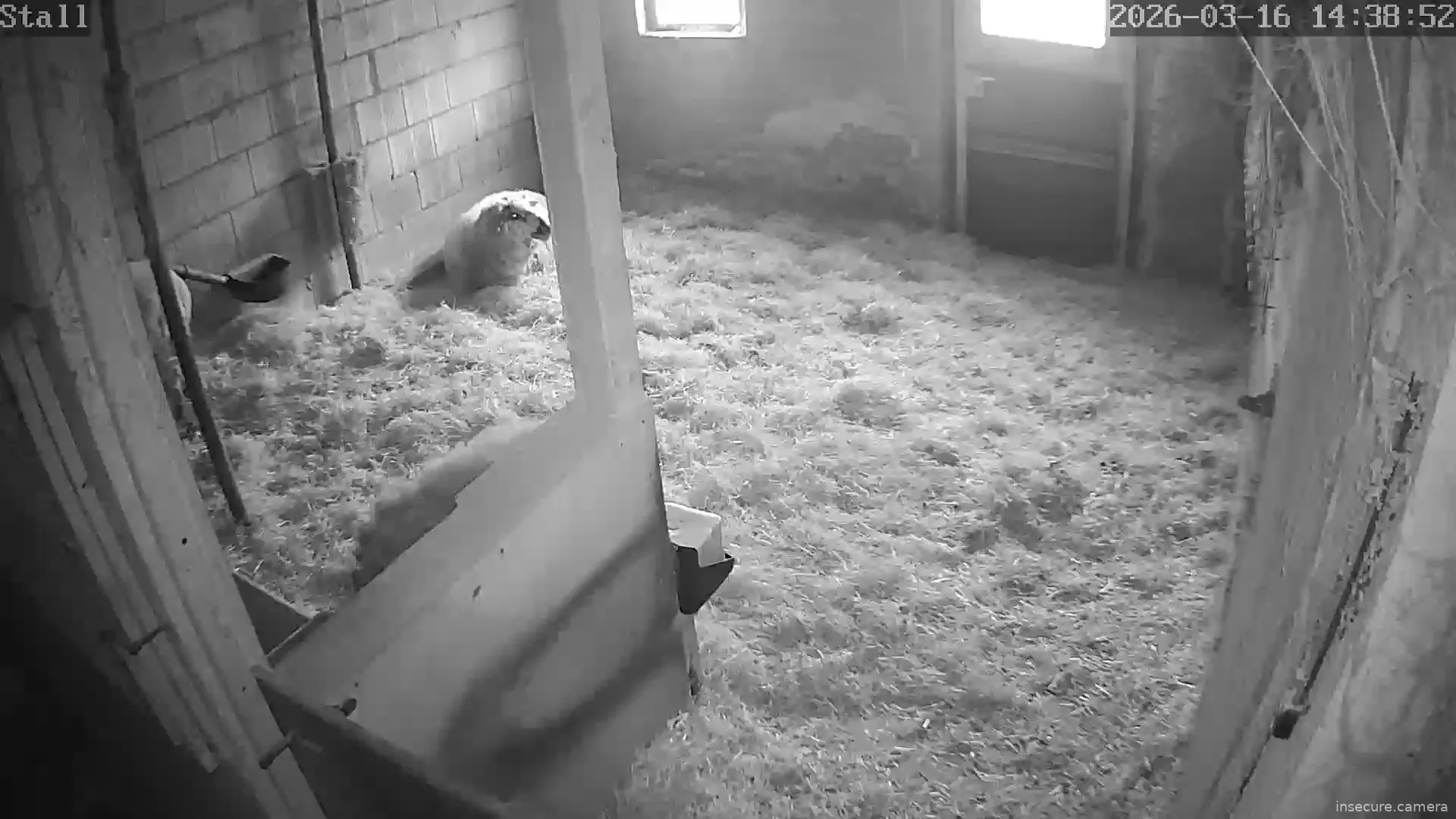 Capture from Mar 16, 2026 at 01:39 PM