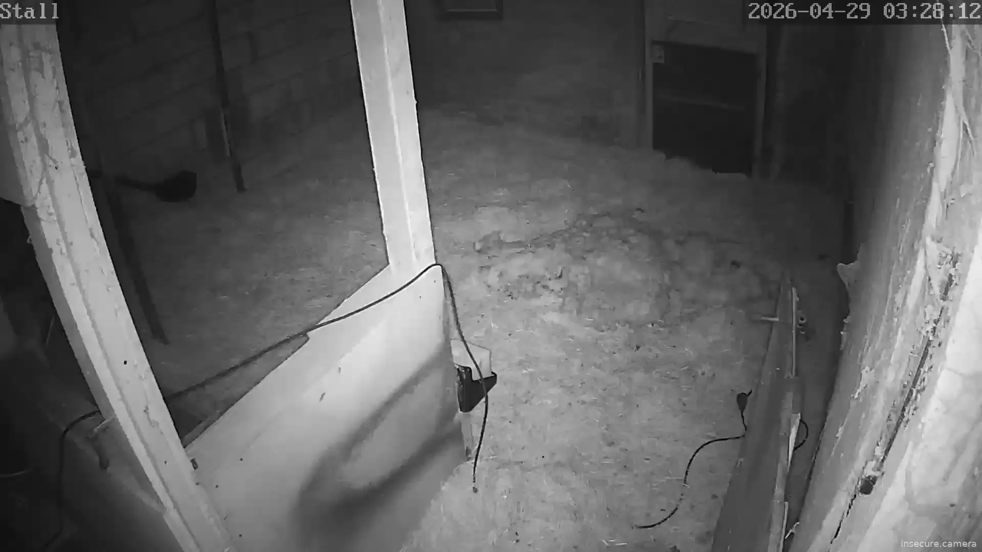 Capture from Apr 29, 2026 at 01:28 AM