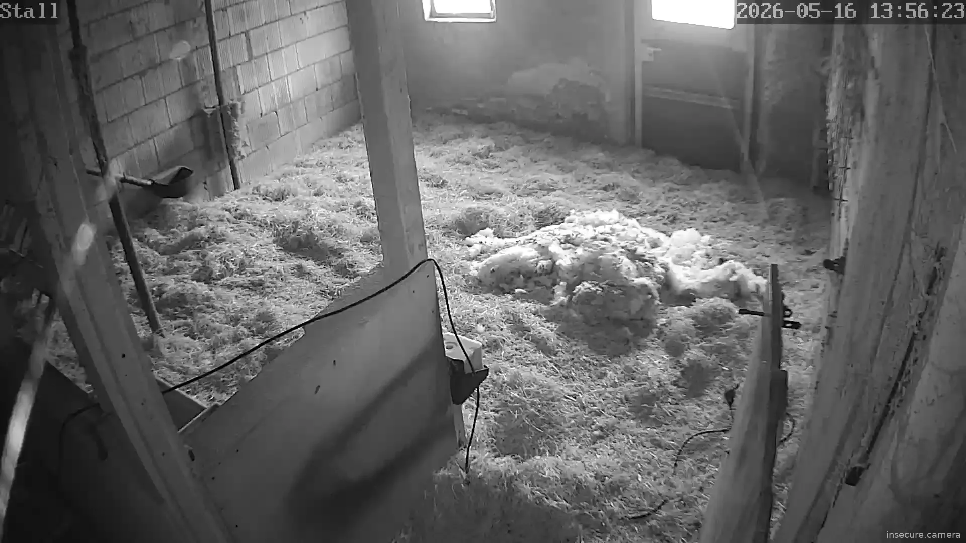 Capture from May 16, 2026 at 11:56 AM