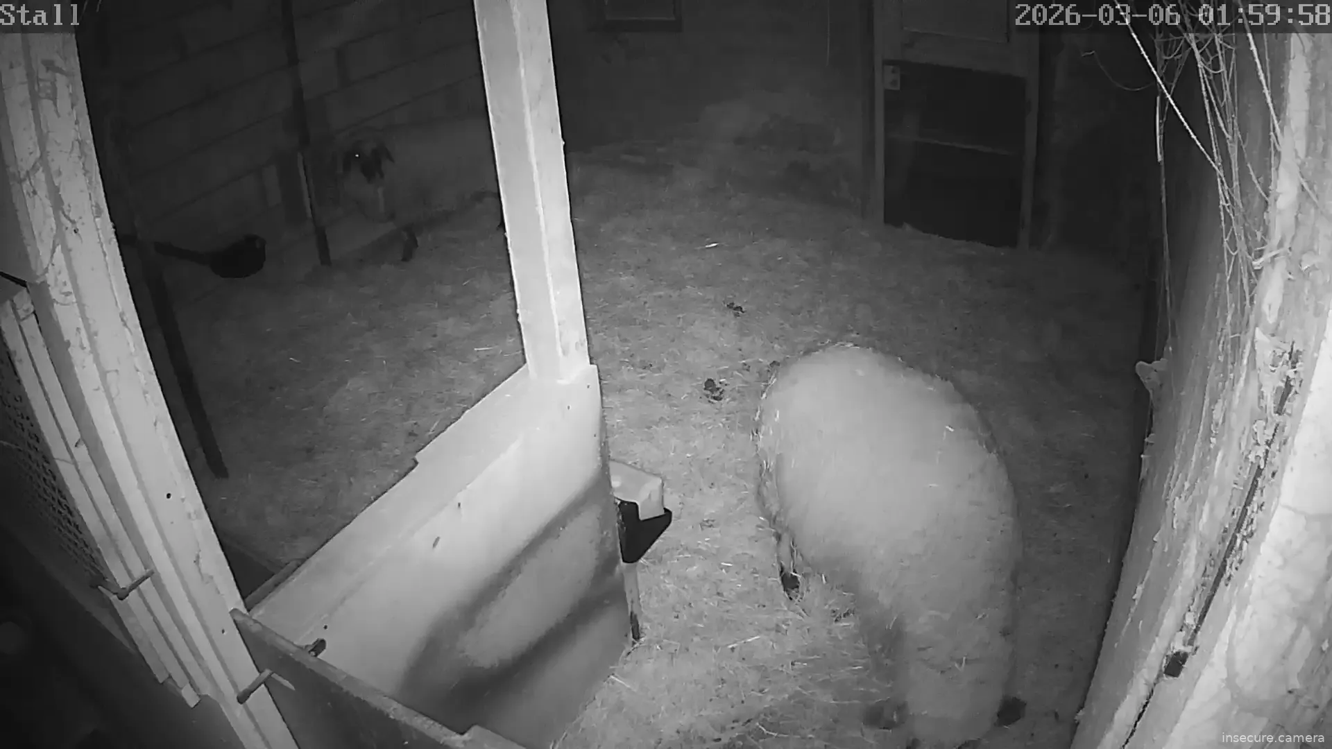 Capture from Mar 06, 2026 at 01:01 AM