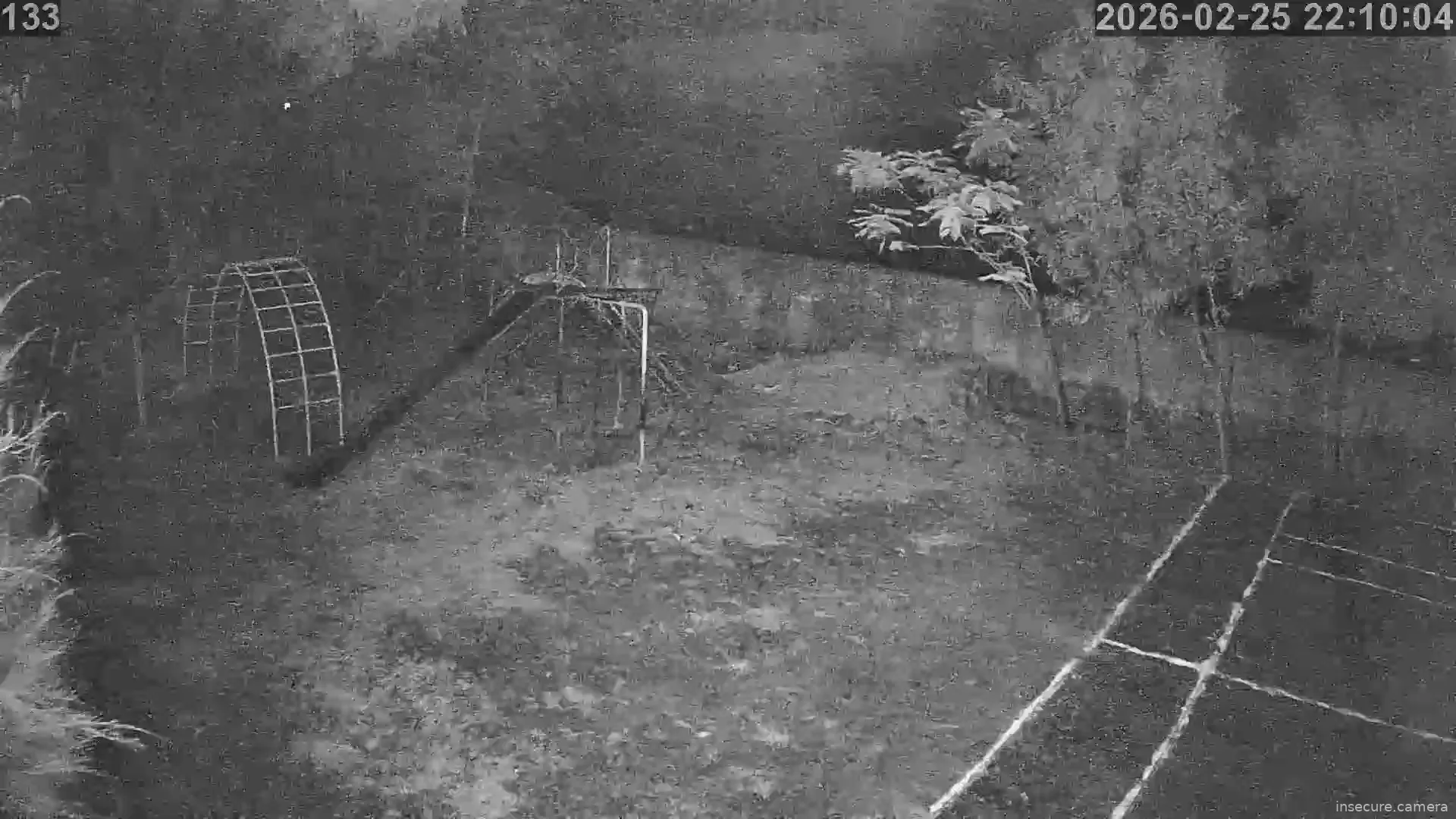 Capture from Feb 25, 2026 at 04:40 PM