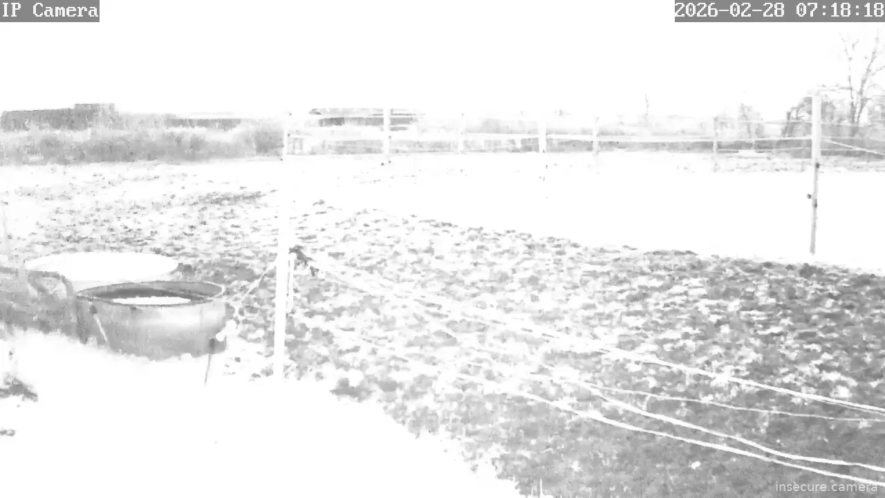 Capture from Feb 28, 2026 at 06:18 AM