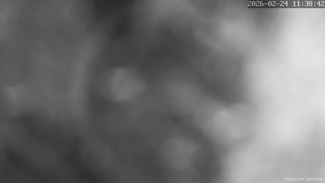 Capture from Feb 24, 2026 at 03:38 AM